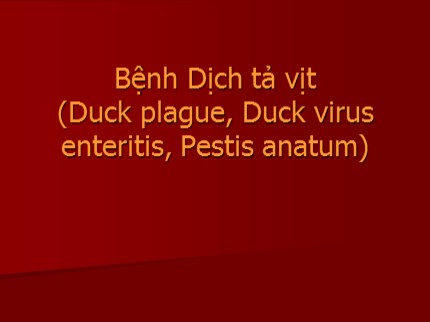 Bài giảng Bệnh Dịch tả vịt (Duck plague, Duck virus enteritis, Pestis anatum)