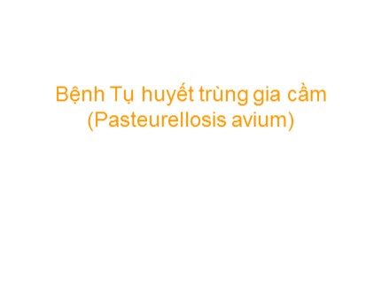 Bài giảng Bệnh Tụ huyết trùng gia cầm (Pasteurellosis avium)