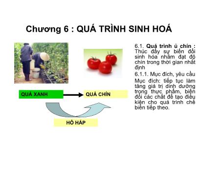 Bài giảng Các quá trình cơ bản trong công nghệ thực phẩm - Chương 6: Quá trình sinh hoá