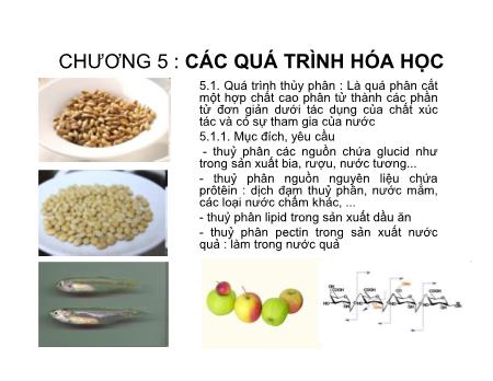 Bài giảng Các quá trình cơ bản trong công nghệ thực phẩm - Chương 5: Các quá trình hóa học