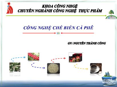 Bài giảng Công nghệ chế biến cà phê - Chương 2: Công nghệ sản xuất cà phê nhân theo phương pháp chế biến khô - Nguyễn Thành Công