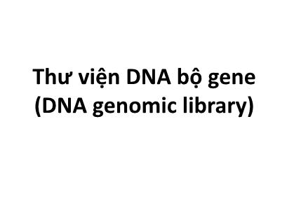 Bài giảng Công nghệ di truyền - Chương 4: Thư viện DNA bộ gene (DNA genomic library) - Nguyễn Vũ Phong