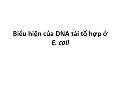 Bài giảng Công nghệ di truyền - Chương 6: Biểu hiện của DNA tái tổ hợp ở E. coli - Nguyễn Vũ Phong