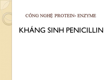 Bài giảng Công nghệ Protein - Enzyme - Chương: Kháng sinh Penicillin