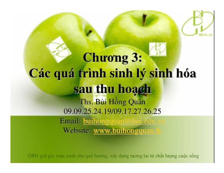 Bài giảng Công nghệ sau thu hoạch - Chương 3: Các quá trình sinh lý sinh hóa sau thu hoạch - Bùi Hồng Quân