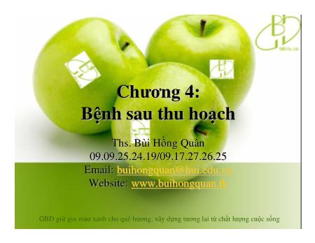 Bài giảng Công nghệ sau thu hoạch - Chương 4: Bệnh sau thu hoạch - Bùi Hồng Quân