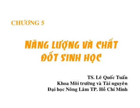 Bài giảng Công nghệ sinh học môi trường - Chương 5: Năng lượng và chất đốt sinh học - Lê Quốc Tuấn