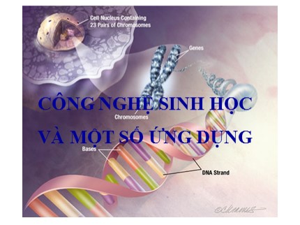 Bài giảng Công nghệ sinh học và một số ứng dụng