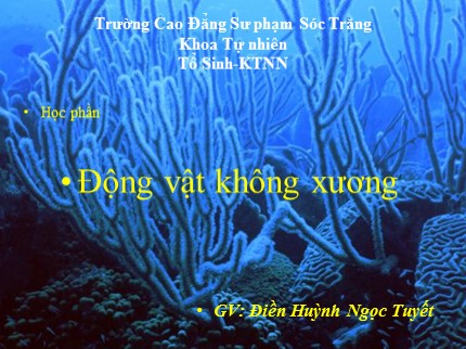 Bài giảng Động vật không xương - Chương: Ngành sứa lược - Điền Huỳnh Ngọc Tuyết