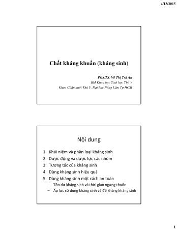 Bài giảng Dược lý thú y - Chương: Chất kháng khuẩn (Kháng sinh) - Võ Thị Trà An