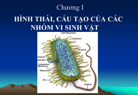 Bài giảng Hệ sinh vật học đại cương - Chương 1: Hình thái, cấu tạo của các nhóm vi sinh vật - Nguyễn Bá Hiên