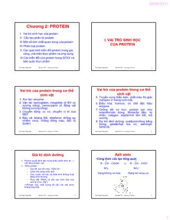 Bài giảng Hóa sinh thực phẩm 1 - Chương 2: Protein - Phạm Hồng Hiếu