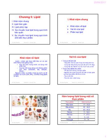 Bài giảng Hóa sinh thực phẩm 1 - Chương 5: Lipid - Phạm Hồng Hiếu