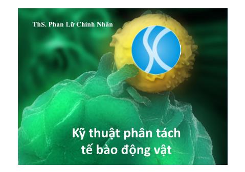 Bài giảng Nuôi cấy tế bào động vật - Bài 4: Kỹ thuật phân tách tế bào động vật - Phan Lữ Chính Nhân