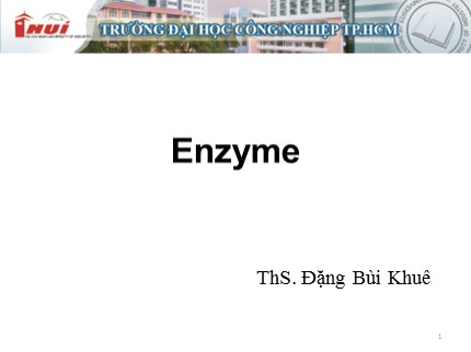 Bài giảng Phụ gia thực phẩm - Bài: Enzyme - Đặng Bùi Khuê