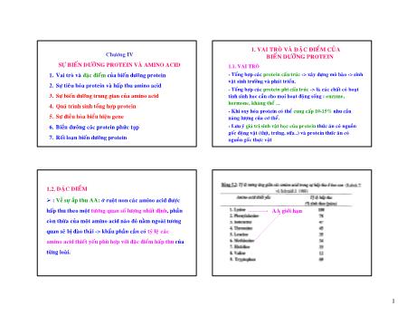 Bài giảng Sinh hóa học - Chương 4: Sự biến dưỡng protein và amino acid