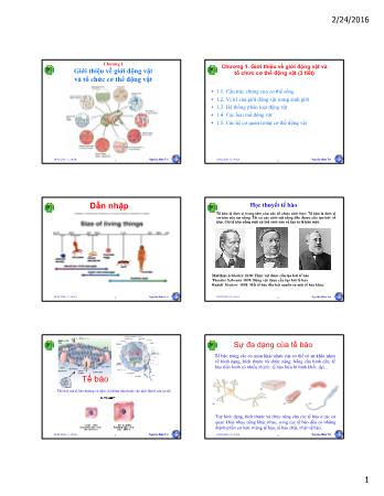 Bài giảng Sinh học động vật - Chương 1: Giới thiệu về giới động vật và tổ chức cơ thể động vật - Nguyễn Hữu Trí