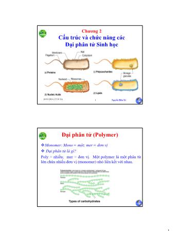 Bài giảng Sinh học phân tử - Chương 2: Cấu trúc và chức năng các đại phân tử sinh học - Nguyễn Hữu Trí