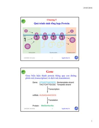 Bài giảng Sinh học phân tử - Chương 5: Quá trình sinh tổng hợp Protein - Nguyễn Hữu Trí