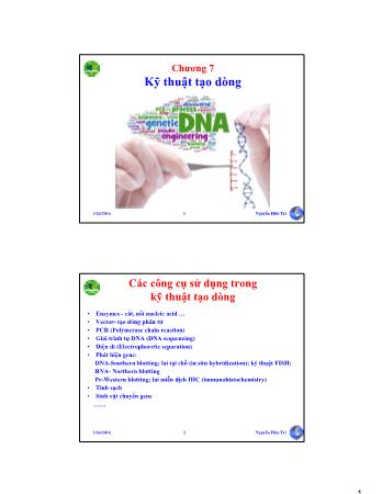 Bài giảng Sinh học phân tử - Chương 7: Kỹ thuật tạo dòng - Nguyễn Hữu Trí