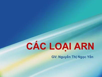 Bài giảng Sinh học phân tử - Chương: Các loại ARN - Nguyễn Thị Ngọc Yến