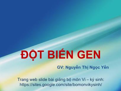 Bài giảng Sinh học phân tử - Chương: Đột biến gen - Nguyễn Thị Ngọc Yến