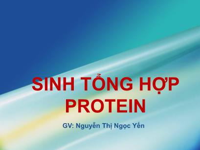 Bài giảng Sinh học phân tử - Chương: Sinh tổng hợp protein - Nguyễn Thị Ngọc Yến