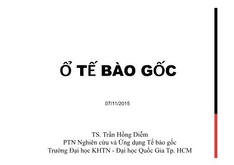 Bài giảng Tế bào gốc - Bài 5: Ổ tế bào gốc - Trần Hồng Diễm