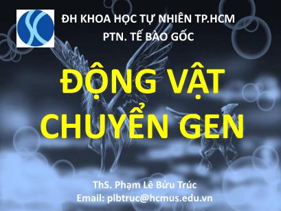 Bài giảng Tế bào gốc - Bài 7: Động vật chuyển gen - Phạm Lê Bửu Phúc