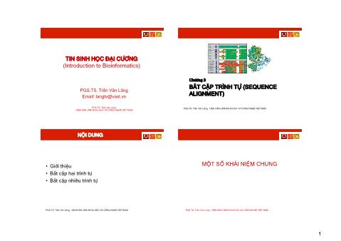 Bài giảng Tin sinh học đại cương - Chương 3: Bắt cặp trình tự (Sequence alignment) - Trần Văn Lăng