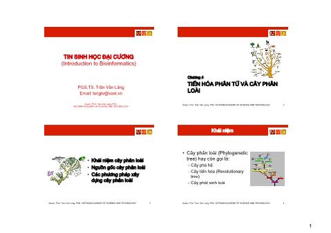 Bài giảng Tin sinh học đại cương - Chương 5: Tiến hóa phân tử và cây phân loài - Trần Văn Lăng