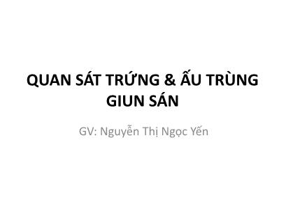 Bài giảng Vi ký sinh trùng - Bài: Quan sát trứng & ấu trùng giun sán - Nguyễn Thị Ngọc Yến