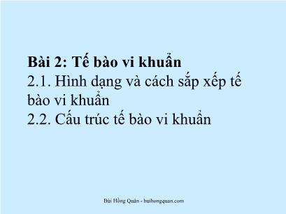 Bài giảng Vi sinh - Bài 2: Tế bào vi khuẩn - Bùi Hồng Quân