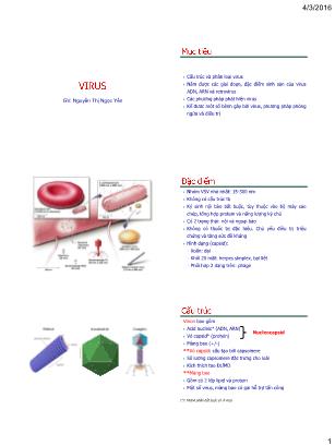 Bài giảng Vi sinh vật - Chương 7: Virus - Nguyễn Thị Ngọc Yến