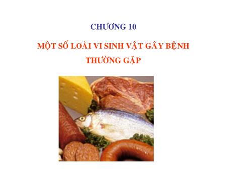 Bài giảng Vi sinh vật thực phẩm - Chương 10: Một số loài vi sinh vật gây bệnh thường gặp - Trần Thị Huyền