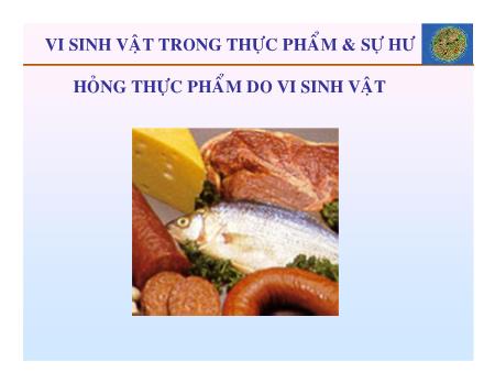 Bài giảng Vi sinh vật thực phẩm - Chương 11: Vi sinh vật trong thực phẩm & sự hư hỏng thực phẩm do vi sinh vật - Trần Thị Huyền