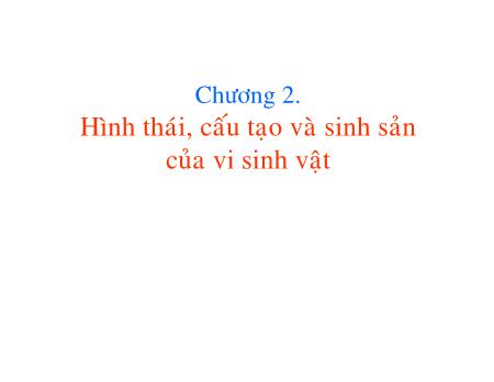 Bài giảng Vi sinh vật thực phẩm - Chương 2: Hình thái, cấu tạo và sinh sản của vi sinh vật - Trần Thị Huyền