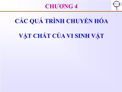 Bài giảng Vi sinh vật thực phẩm - Chương 4: Các quá trình chuyển hóa vật chất của vi sinh vật - Trần Thị Huyền