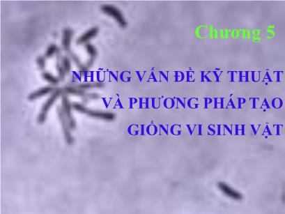 Bài giảng Vi sinh vật thực phẩm - Chương 5: Những vấn đề kỹ thuật và phương pháp tạo giống vi sinh vật - Trần Thị Huyền