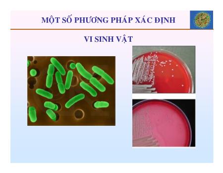 Bài giảng Vi sinh vật thực phẩm - Chương 6: Một số phương pháp xác định vi sinh vật - Trần Thị Huyền