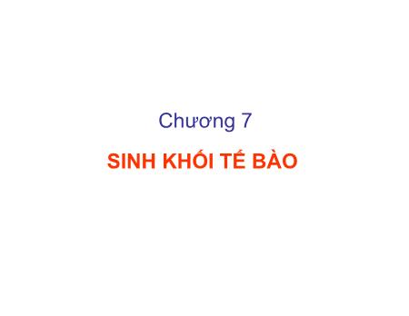 Bài giảng Vi sinh vật thực phẩm - Chương 7: Sinh khối tế bào - Trần Thị Huyền