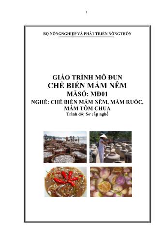 Giáo trình mô đun Chế biến mắm nêm - Nghề: Chế biến mắm nêm, mắm ruốc, mắm tôm chua