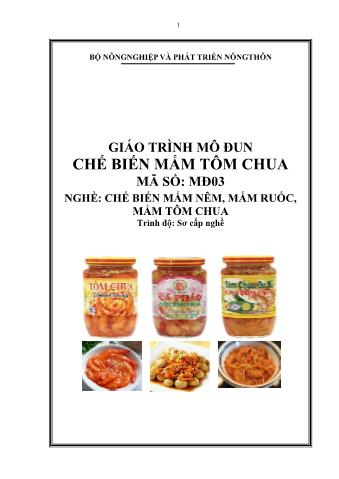 Giáo trình mô đun Chế biến mắm tôm chua