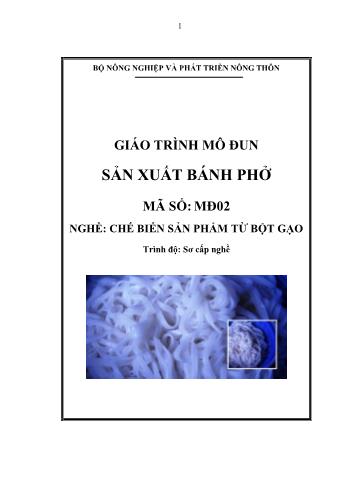 Giáo trình mô đun Sản xuất bánh phở - Nghề: Chế biến sản phẩm từ bột gạo