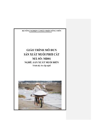 Giáo trình mô đun Sản xuất muối phơi cát - Nghề: Sản xuất muối biển