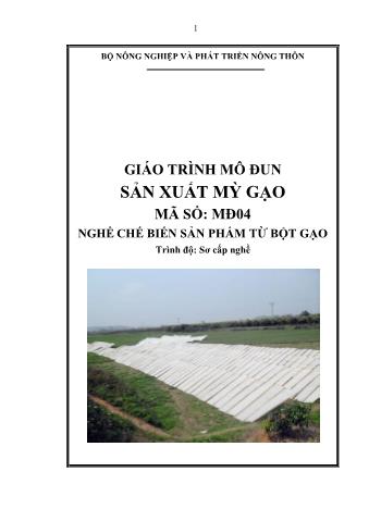 Giáo trình mô đun Sản xuất mỳ gạo - Nghề: Chế biến sản phẩm từ bột gạo