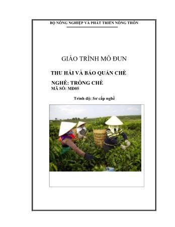 Giáo trình mô đun Thu hái và bảo quản chè - Nghề: Trồng chè