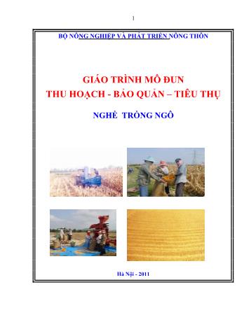 Giáo trình mô đun Thu hoạch - Bảo quản – Tiêu thụ - Nghề trồng ngô