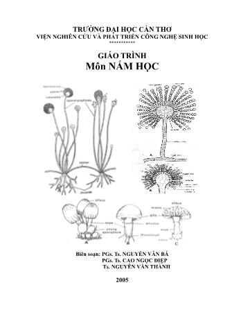 Giáo trình Nấm học - Nguyễn Văn Bá