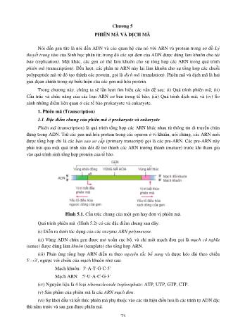 Giáo trình Sinh học phân tử (Phần 2) - Hoàng Trọng Phán